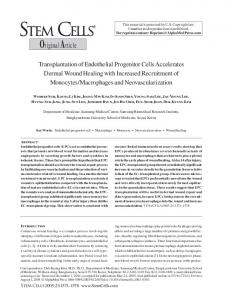 Transplantation of Endothelial Progenitor Cells Accelerates Dermal ...