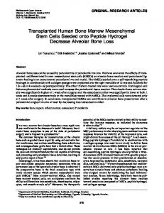 Transplanted Human Bone Marrow Mesenchymal