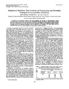 Transport in Azospirillum brasilense - Journal of Bacteriology