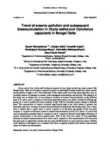 Trend of arsenic pollution and subsequent bioaccumulation in Oryza ...