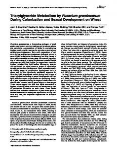Triacylglyceride Metabolism by Fusarium graminearum ... - APS Journals