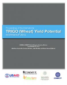 TRIGO (Wheat) Yield Potential