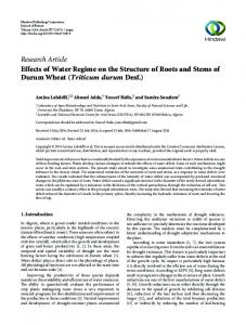 Triticum durum Desf