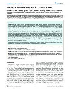 TRPM8, a Versatile Channel in Human Sperm - Plos