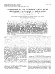 Tryptophan Residues in the Portal Protein of Herpes Simplex Virus 1 ...