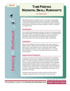 TUBE FEEDING NEONATAL SMALL RUMINANTS