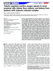 Tuberin regulates reactive oxygen species in ... - Wiley Online Library