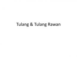 Tulang & Tulang Rawan - File UPI