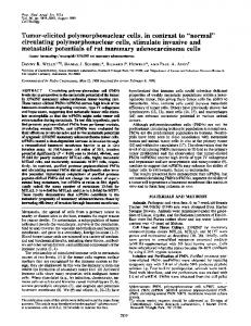 Tumor-elicited polymorphonuclear cells, in contrast to - Europe PMC