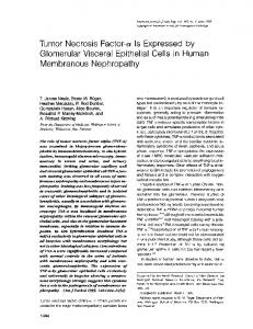 Tumor Necrosis Factor-a Is Expressed by Glomerular Visceral ... - NCBI