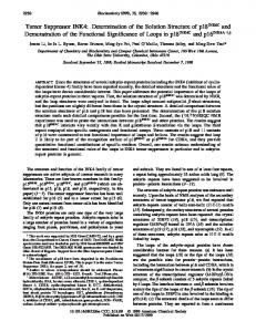 Tumor Suppressor INK4 - IBC