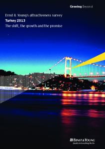 Turkey 2013 - Ernst & Young