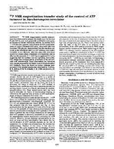 turnover in Saccharomyces cerevisiae