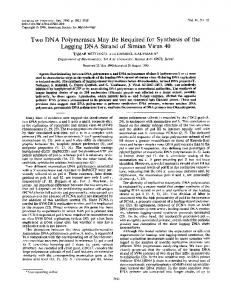 Two DNA Polymerases May Be Required for ... - Journal of Virology