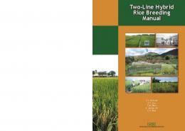 Two-Line Hybrid Rice Breeding Manual - Rice Knowledge Bank - IRRI