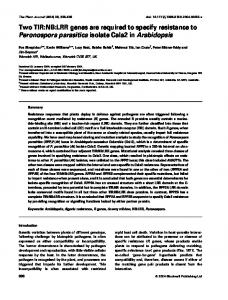 Two TIR:NB:LRR genes are required to specify ... - Wiley Online Library