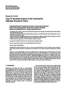 Type IV Secretion System Is Not Involved in Infection Process in Citrus