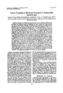 typhimurium - Journal of Bacteriology