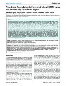 Tyrosinase Degradation Is Prevented when ... - Semantic Scholar