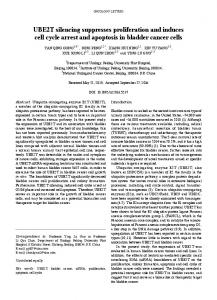 UBE2T silencing suppresses proliferation and induces cell cycle arrest ...