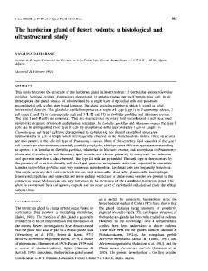 ultrastructural study - Europe PMC