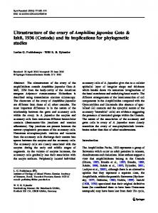 Ultrastructure of the ovary of Amphilina japonica Goto ... - Springer Link