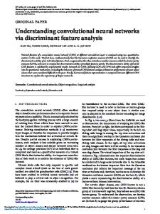 Understanding convolutional neural networks via