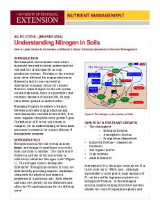 Understanding Nitrogen in Soils