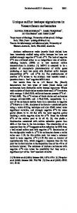 Unique sulfur isotope signatures in Neoarchean ...