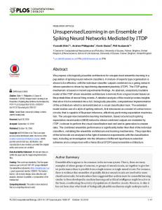 Unsupervised Learning in an Ensemble of Spiking Neural Networks