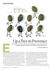 Up a Tree in Provence - Mort Rosenblum