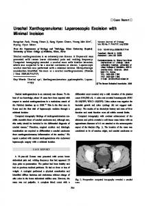 Urachal Xanthogranuloma - Investigative and Clinical Urology