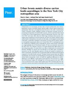 Urban forests sustain diverse carrion beetle assemblages in ... - PeerJ