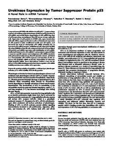 Urokinase Expression by Tumor Suppressor Protein p53 - ATS Journals