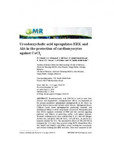 Ursodeoxycholic acid upregulates ERK and Akt in