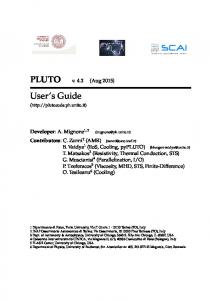 User's Guide - PLUTO code