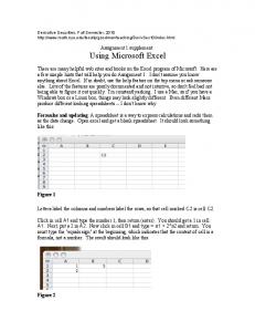 Using Microsoft Excel