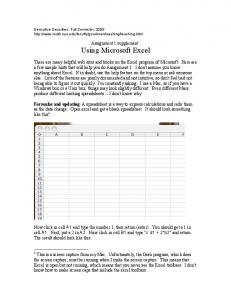 Using Microsoft Excel