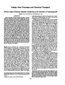 Vadose Zone Processes and Chemical Transport - CiteSeerX