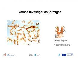 Vamos investigar as formigas