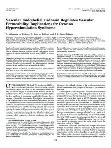 Vascular Endothelial Cadherin Regulates ... - Semantic Scholar