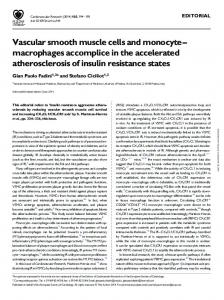 Vascular smooth muscle cells and monocyte