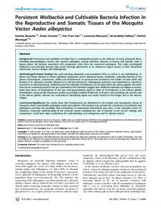 Vector Aedes albopictus - PLOS