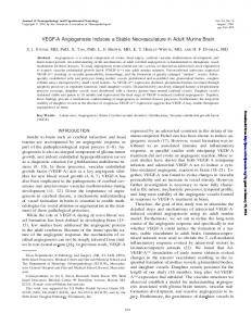 VEGF-A Angiogenesis Induces a Stable