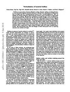 Verticalization of bacterial biofilms