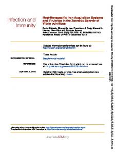 Vibrio vulnificus and Virulence in the Zoonotic