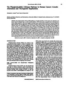 View PDF - Semantic Scholar