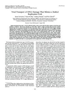 Viral Transport of DNA Damage That Mimics a Stalled Replication Fork