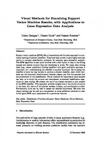 Visual Methods for Examining Support Vector Machine ... - CiteSeerX