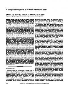 Visuospatial Properties of Ventral Premotor Cortex - Princeton University